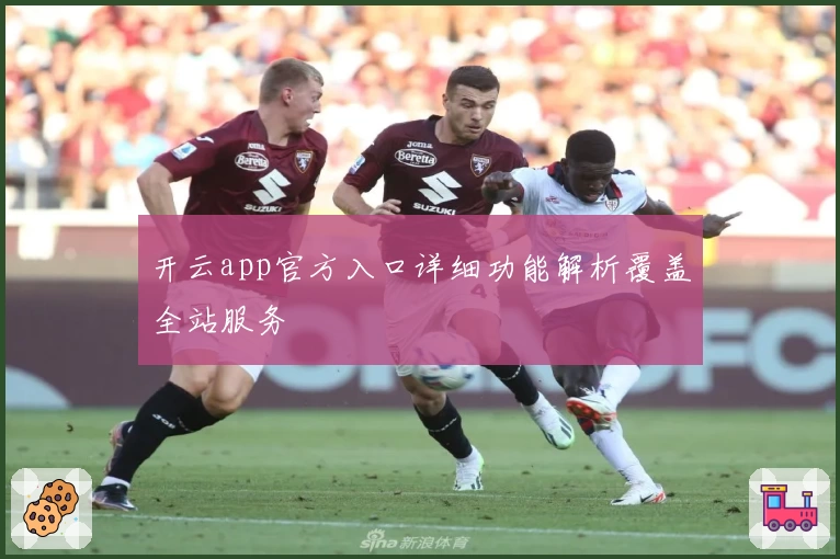开云app官方入口详细功能解析覆盖全站服务