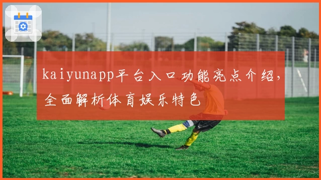 kaiyunapp平台入口功能亮点介绍，全面解析体育娱乐特色